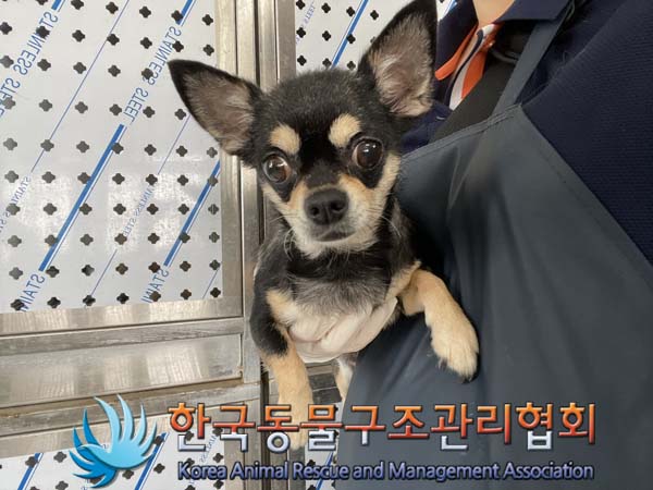 한국동물구조관리협회_441409202401274